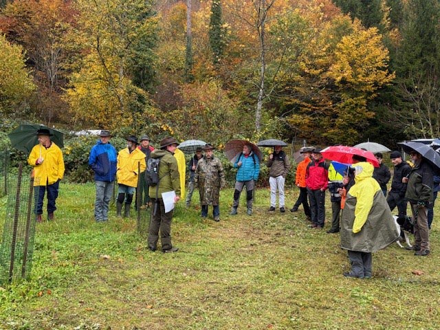 Trotz Regens waren viele Gäste zur Waldbereisung gekommen.