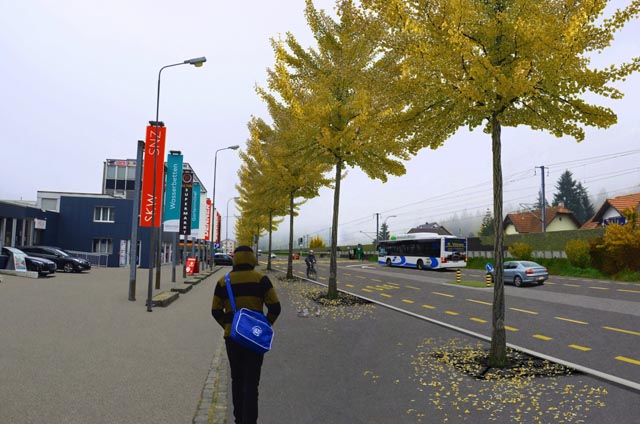 Längacker, ein neuer Mehrzweckstreifen erleichtert das Ein- und Ausfahren. Foto: © Kanton Aargau